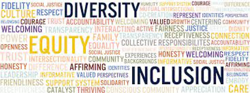 Diversity Social Inclusion Equity